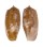 CONIDAE CONUS OBSCURUS shell