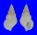 RANELLIDAE SASSIA EBURNEA shell