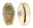 CYPRAEIDAE CYPRAEA EROSA ROSTRATE shell