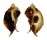 MURICIDAE JATON DECUSSATUS shell