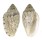 MARGINELLIDAE MARGINELLA ROSEA shell