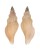 BUCCINIDAE BARTSCHIA FUSIFORMIS shell