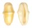 OVULIDAE CYPHOMA GIBBOSA shell
