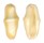 OVULIDAE CYPHOMA GIBBOSA shell