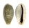 CYPRAEIDAE ERRONEA OVUM shell