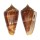 CONIDAE CONUS AMADIS NEPTUNUS shell