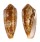 CONIDAE CONUS CIRCUMCISUS shell