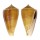 CONIDAE CONUS SULCATUS shell