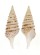 TURRIDAE GEMMULA KIENERI shell