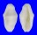 OVULIDAE CYPHOMA SIGNATUM shell