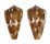 CONIDAE CONUS VITTATUS shell