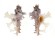 MURICIDAE HOMALOCANTHA ZAMBOI shell