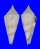 CONIDAE CONUS COMATOSA shell