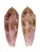 CONIDAE CONUS BLATTEUS shell
