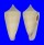 CONIDAE CONUS FURVUS NEOBUXEUS shell