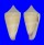 CONIDAE CONUS FURVUS NEOBUXEUS shell