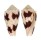 CONIDAE CONUS DEBURGHIAE shell