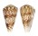CONIDAE CONUS SULCOCASTANEUS shell