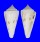 CONIDAE CONUS SIEBOLDII shell
