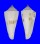 CONIDAE CONUS SIEBOLDII shell