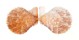 PECTINIDAE CHLAMYS HASTATA HASTATA shell