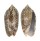 OLIVIDAE OLIVA SPICATA VIOLACEA shell