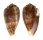 CONIDAE CONUS PERONIANUS shell