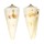 CONIDAE CONUS TRIBBLEI shell