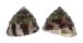 TROCHIDAE TROCHUS ROTA shell