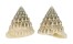 TROCHIDAE TECTUS FENESTRATUS shell