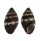 MITRIDAE VEXILLUM LEUCODESMA shell