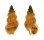 NASSARIIDAE NASSARIUS HIRADOENSIS shell