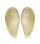 YOLDIIDAE YOLDIA SIMILIS shell