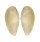 YOLDIIDAE YOLDIA SIMILIS shell