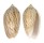OLIVIDAE OLIVA PERUVIANA shell