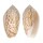 OLIVIDAE OLIVA PERUVIANA shell