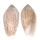OLIVIDAE OLIVA PERUVIANA shell