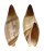 OLIVIDAE AMALDA SIMILIS shell
