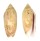 OLIVIDAE OLIVA MULTIPLICATA shell