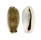 CYPRAEIDAE ERRONEA CYLINDRICA LENELLA NIGER shell