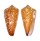 CONIDAE CONUS CROCATUS shell