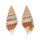 MITRIDAE COSTELLARIA DECORA shell