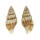 MITRIDAE COSTELLARIA DECORA shell