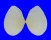 TELLINIDAE QUIDNIPAGUS PALATAM shell