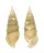 CERITHIIDAE RHINOCLAVIS VERTAGUS shell