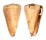 CONIDAE CONUS DISTANS shell