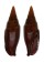 MITRIDAE NEBULARIA FULVESCENS TELUM shell