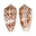 CONIDAE CONUS FLOCCATUS shell