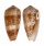 CONIDAE CONUS FLOCCATUS shell