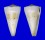 CONIDAE CONUS RECLUZIANUS shell